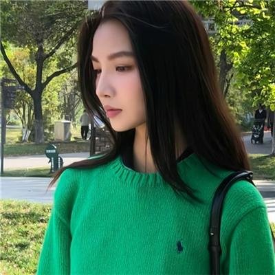 他是龙国语
